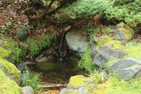 Visiter le Japanese Tea Garden à San Francisco