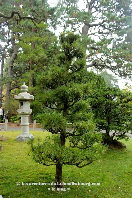 Visiter le Japanese Tea Garden à San Francisco