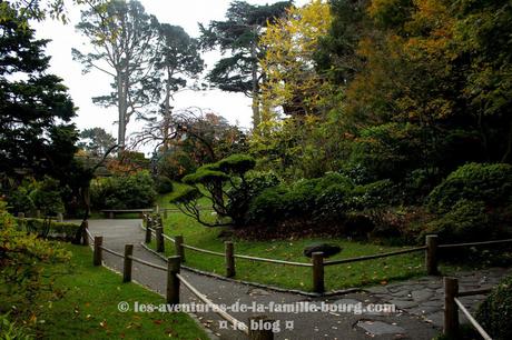 Visiter le Japanese Tea Garden à San Francisco