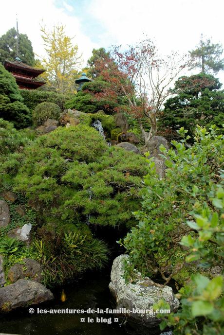 Visiter le Japanese Tea Garden à San Francisco