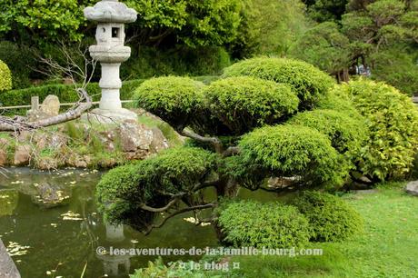 Visiter le Japanese Tea Garden à San Francisco