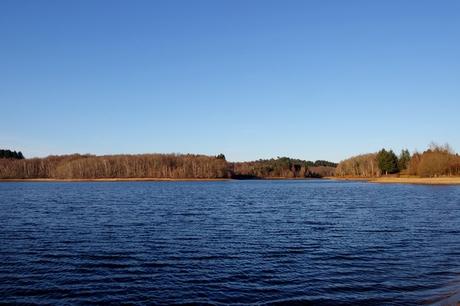 france haute-vienne limousin lac saint-pardoux hiver