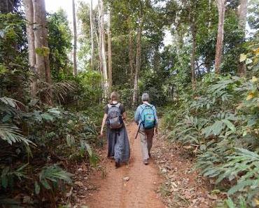 Promenons nous dans les bois