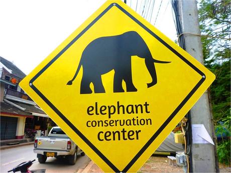 Luang Prabang - Elephant conservation center