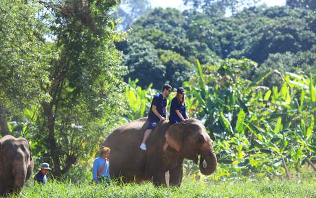 Une journée au Baan Chang Elephant Park de Chiang Mai