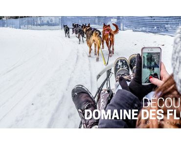 5 raisons de visiter le Domaine des flocons