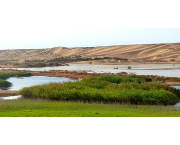 Enseigner dans le Sahara, par Lilly