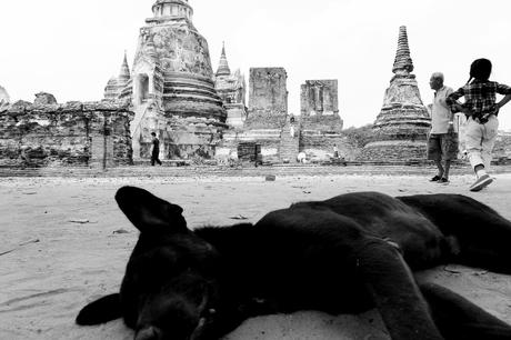 Thaïlande - Ayutthaya - 079 - Wat Phra Si Sanphet