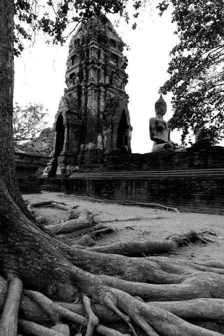 Thaïlande - Ayutthaya - 011 - Wat Maha That