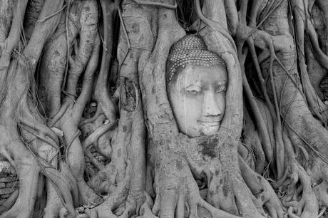 Thaïlande - Ayutthaya - 014 - Wat Maha That