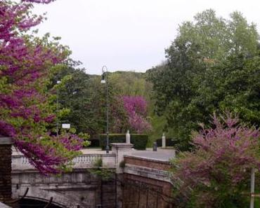 Sunny Monday 2017 #7