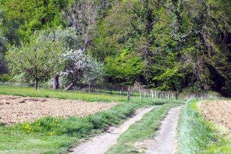 Hirsingue Sundgau Alsace