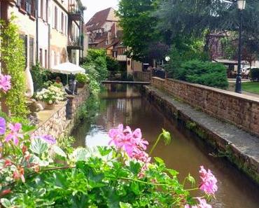 L’Alsace au fil de l’eau : les plus beaux sites