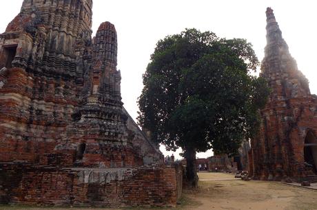 Thaïlande - Ayutthaya - 158 - Wat Chaiwatthanaram
