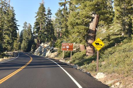 Yosemite + Death Valley (Road Trip #2)