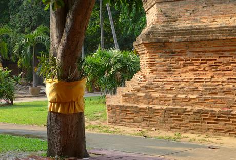 Thaïlande - Ayutthaya - 204 - Wat Yai Chai Mongkhon