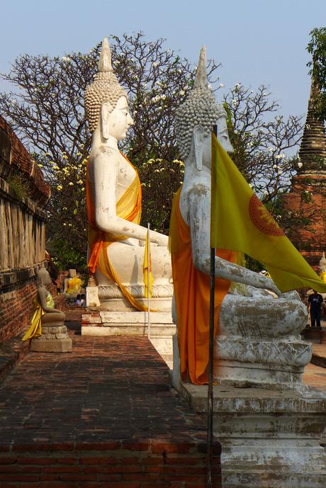 Thaïlande - Ayutthaya - 211 - Wat Yai Chai Mongkhon