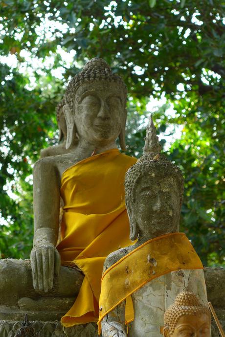 Thaïlande - Ayutthaya - 207 - Wat Yai Chai Mongkhon