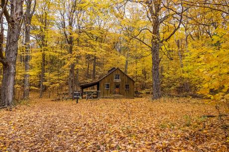 CANADA | 15 expériences extraordinaires au Québec