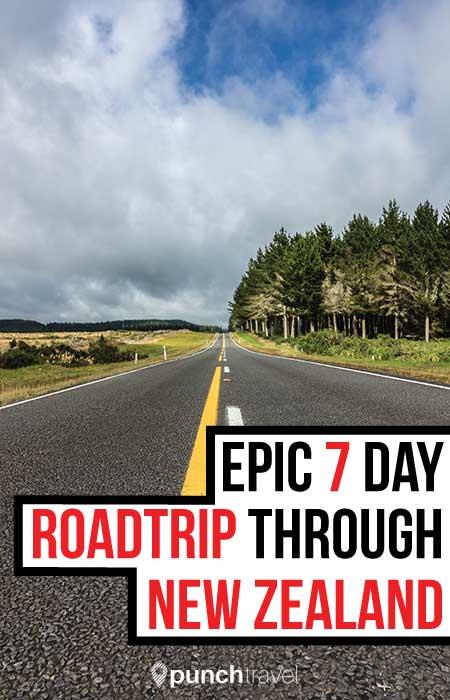 new_zealand_road_trip