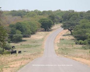 Pourquoi le road-trip, ce n’est pas pour nous !
