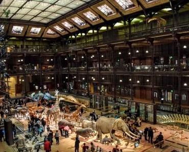 La Grande Galerie de l’Evolution
