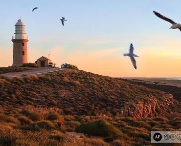 Aurélie en Océanie 2/2 : L’Australie