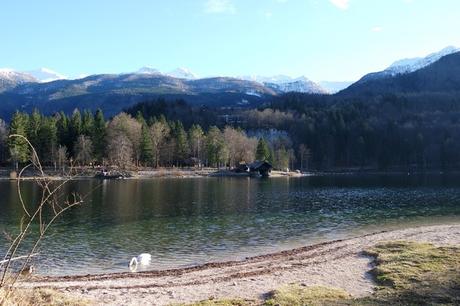 slovénie lac bohinj