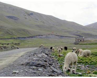 Pampalarama : 4400 m d'altitude au bout du monde