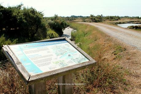 La Vendée côté marais