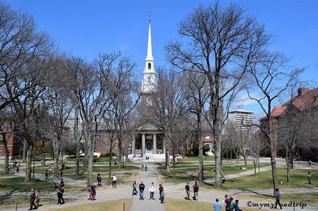 Visiter l’université de Harvard et son musée d’histoire naturelle