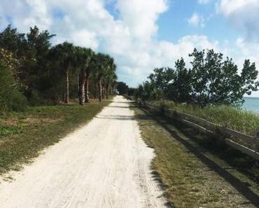 Une après-midi à Key Biscayne