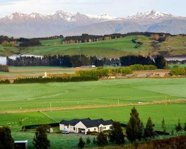PVT NZ : Au bout de 6 mois