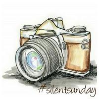 Silent Sunday 42 ... allons compter fleurette Silent Sunday 42 ... allons compter fleurette