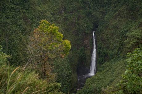 Les meilleures cascades du Costa Rica (part 2) Les meilleures cascades du Costa Rica (part 2)