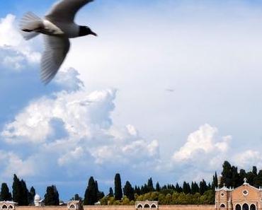Venise en ce moment