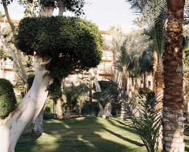 Egypte (2/3): Louxor, la maison des siècles