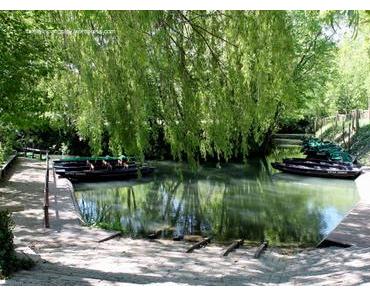 Le marais poitevin en barque