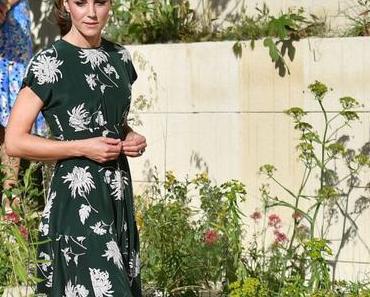 Chelsea flower show 2017