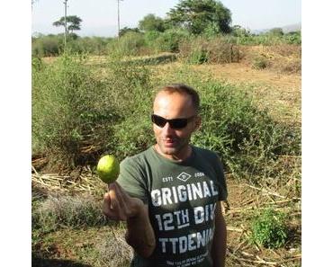 L’interview de Michel, guide et organisateur de voyage en Éthiopie
