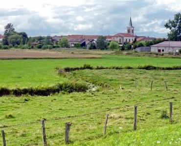 Découvrir le vignoble des Côtes-de-Toul en Lorraine