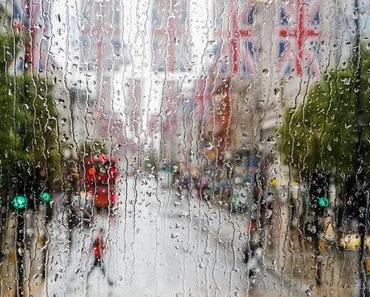 Thursday Thunder: brexit diary #5