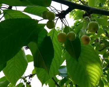 Friday Feelings # 114