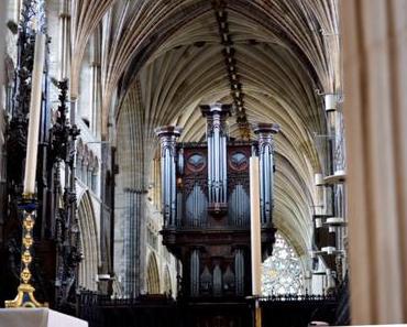 Touristic Sunny Monday #23 in Exeter