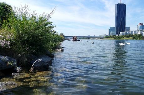 Où sortir l'été à Vienne ? vienne danube donau baignade
