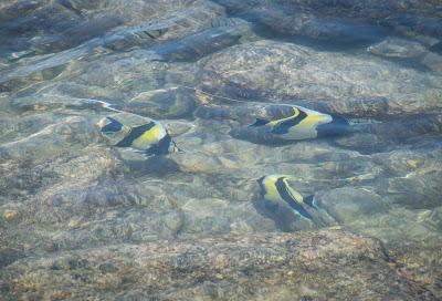 Hawaii - Les plages de l'ouest de Big Island