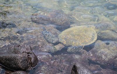 Hawaii - Les plages de l'ouest de Big Island