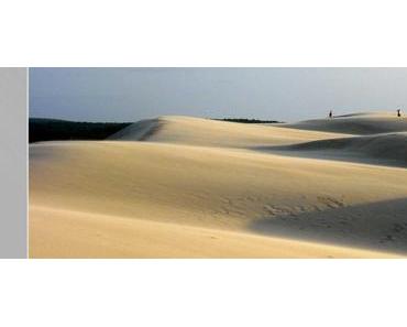 Mon handicap de l’amitié : lettre à ceux qui sont loin