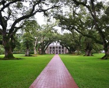 Visite de la plantation de Oak Alley & balade dans le bayou