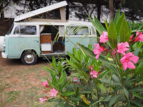 L’Algarve en campervan avec Siesta Campers L’Algarve en campervan avec Siesta Campers
